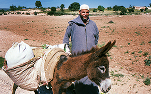 Morocco : Travel :  Photos : Richard Moore : Photographer